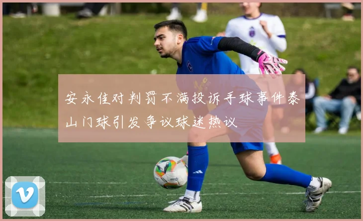 安永佳对判罚不满投诉手球事件泰山门球引发争议球迷热议